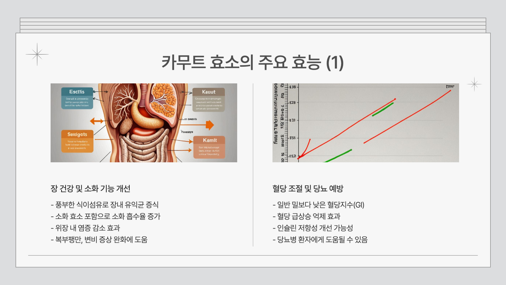 카뮤트-주요-효능-정리