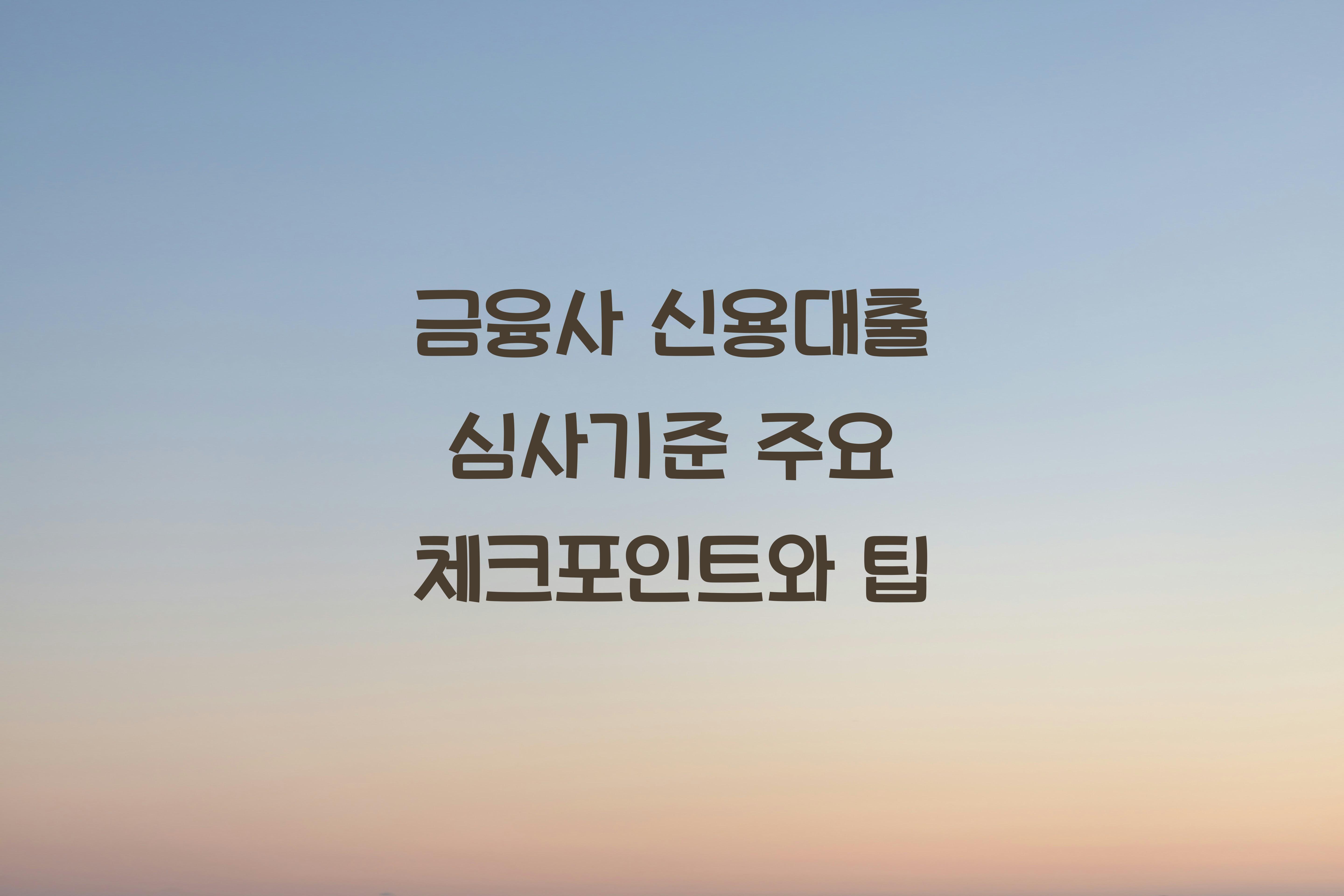 금융사 신용대출 심사기준