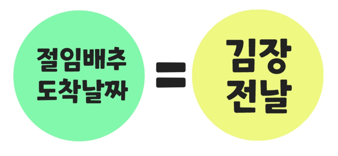 배추 도착일