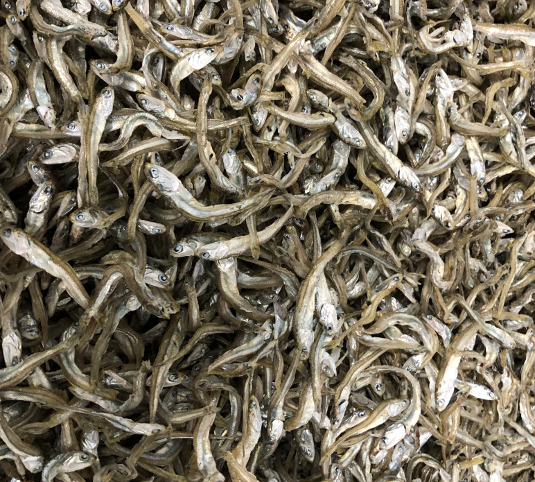 경남 사천 죽방렴 건멸치 주문 방법