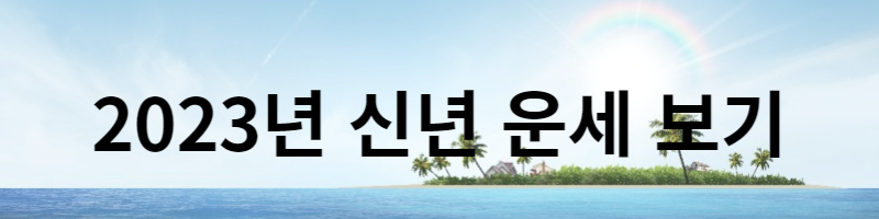 2023년 신년 운세