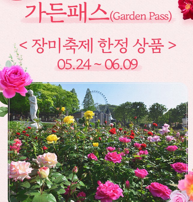 애버랜드 장미축제