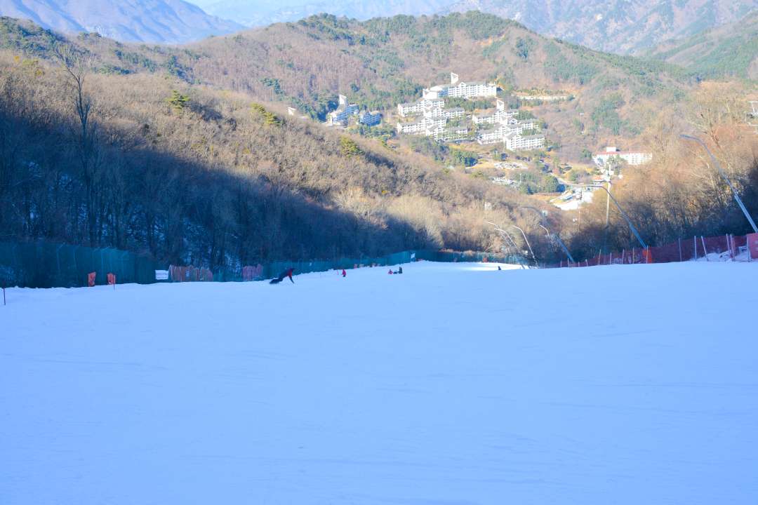 2025/2026 무주덕유산리조트 스키장 시즌권 렌탈 할인 완벽 가이드