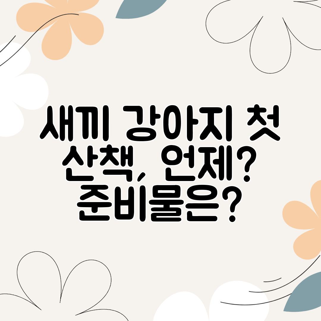 새끼 강아지 첫 산책, 언제 준비물은