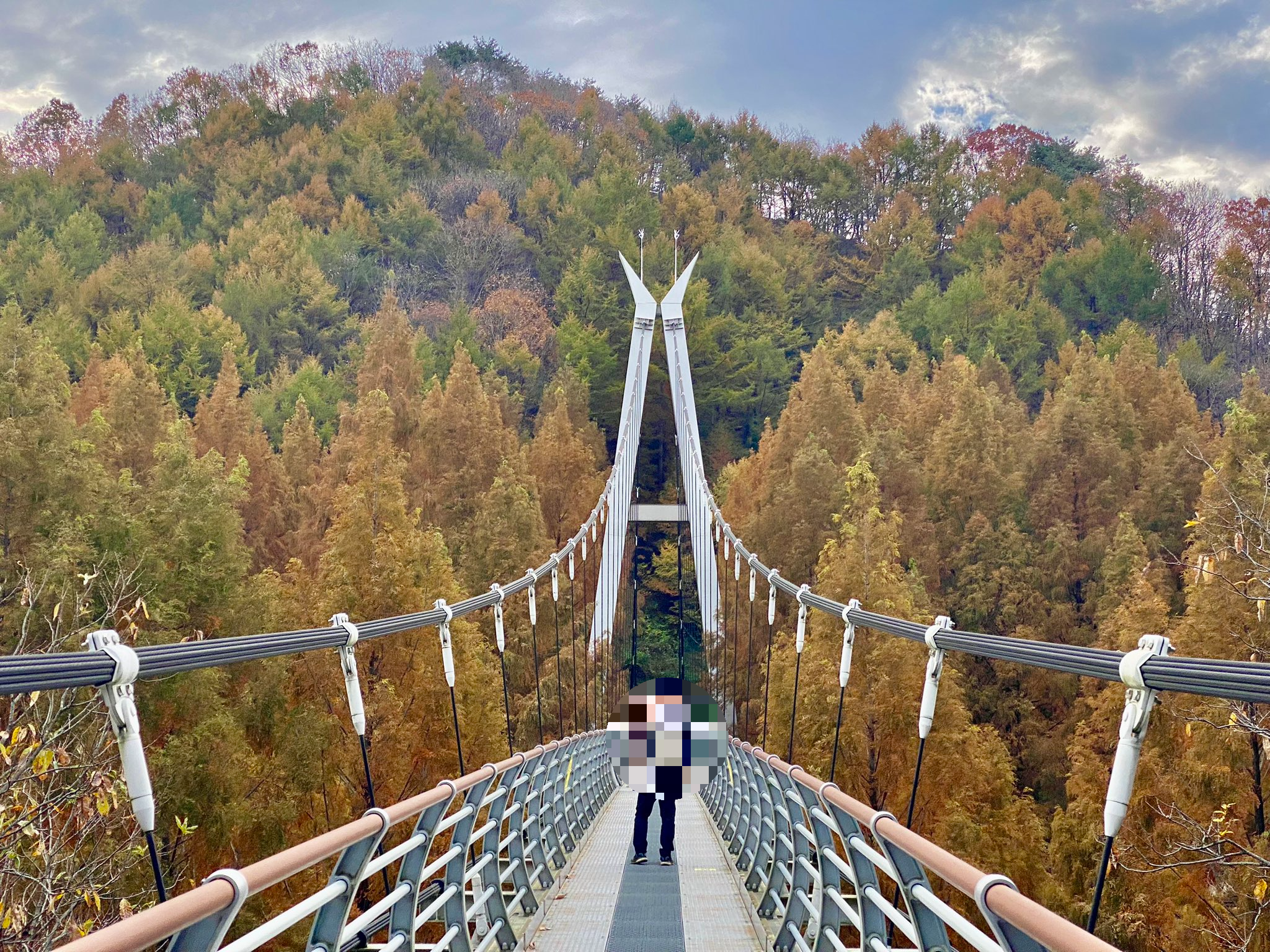 장태산 자연휴양림 스카이웨이 스카이타워 단풍 가을 여행지 대전 02