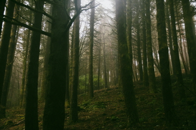 임업직불금 의무교육 신청