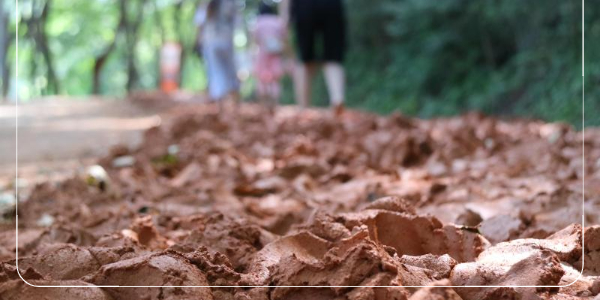 맨발 걷기 효과 _ 접지 효과(Grounding)5