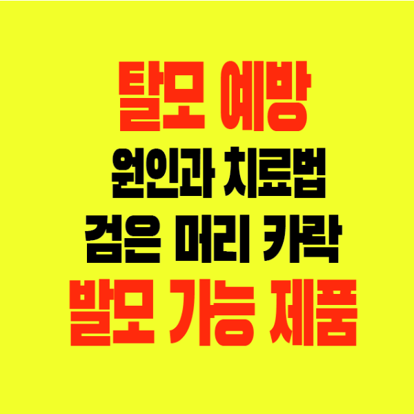 썸네일-탈모예방-원인과치료법-검은머리카락-발모가능제품