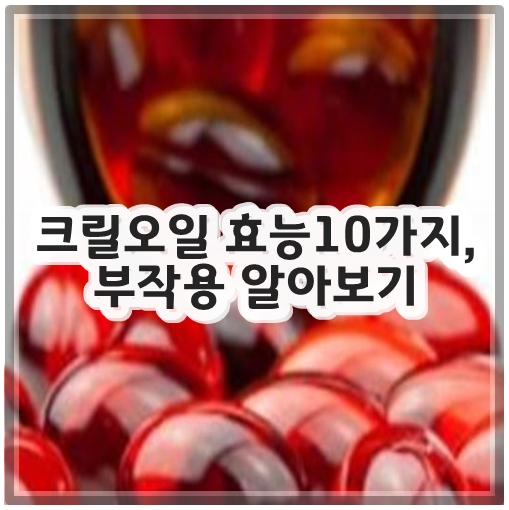 크릴오일 효능 10가지, 부작용 알아보기