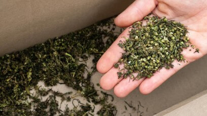 대마종자유 효능, 햄프씨드 식물성 오일로 먹자! 이제는 모두가 건강에 관심이 많다 보니 관리 또한 똑똑하게 합니다.