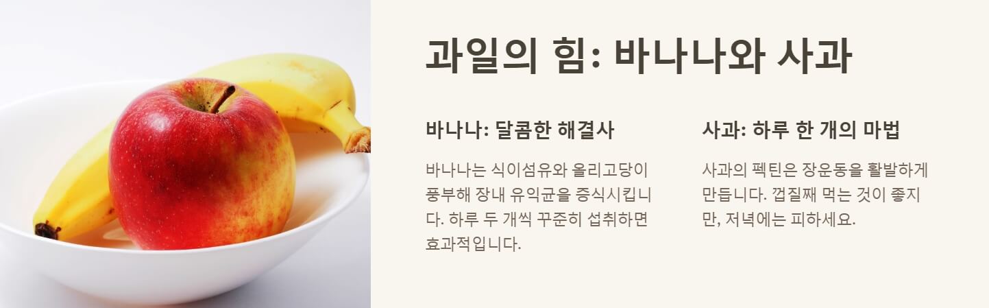 변비에 좋은 음식 차