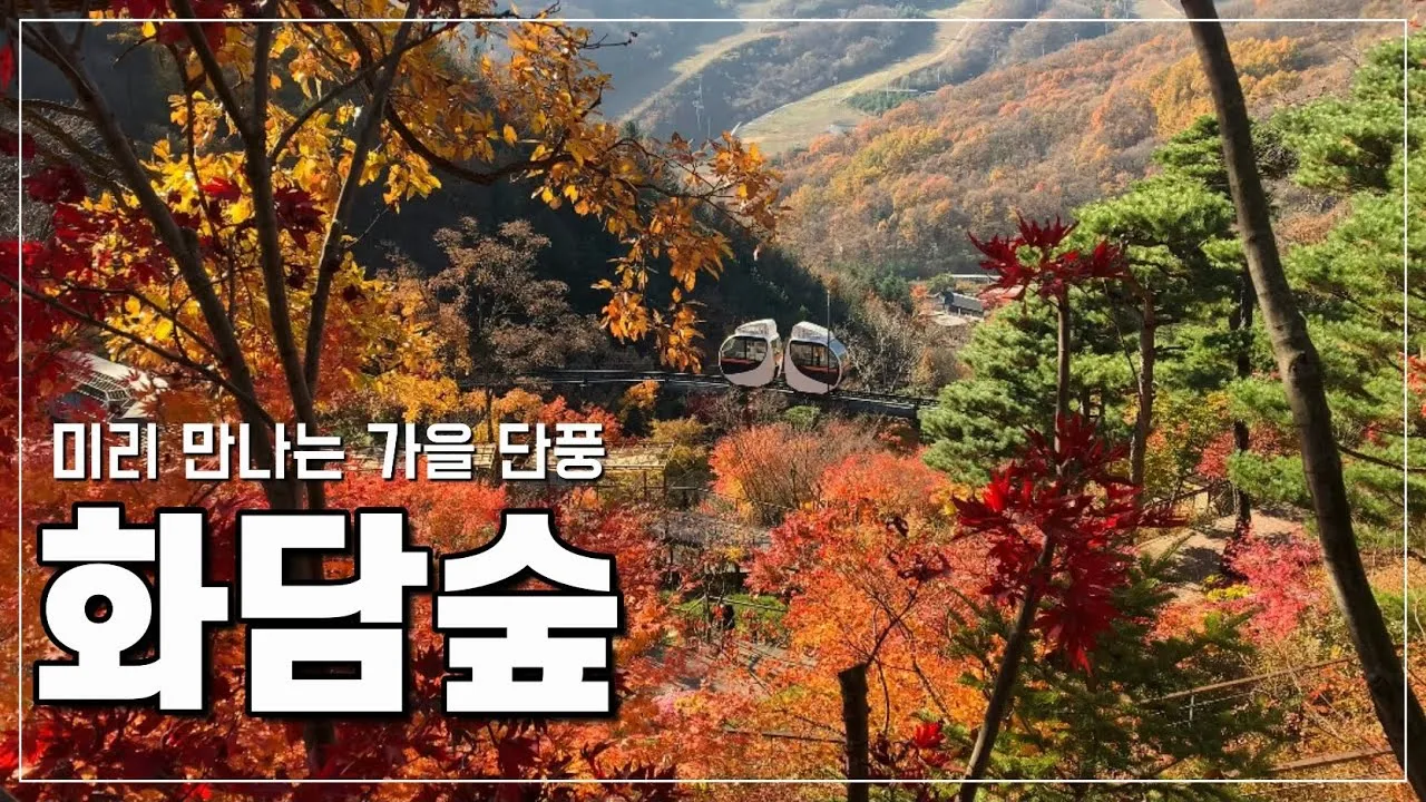 화담숲 예약하기 예약 방법 입장료 모노레일_1