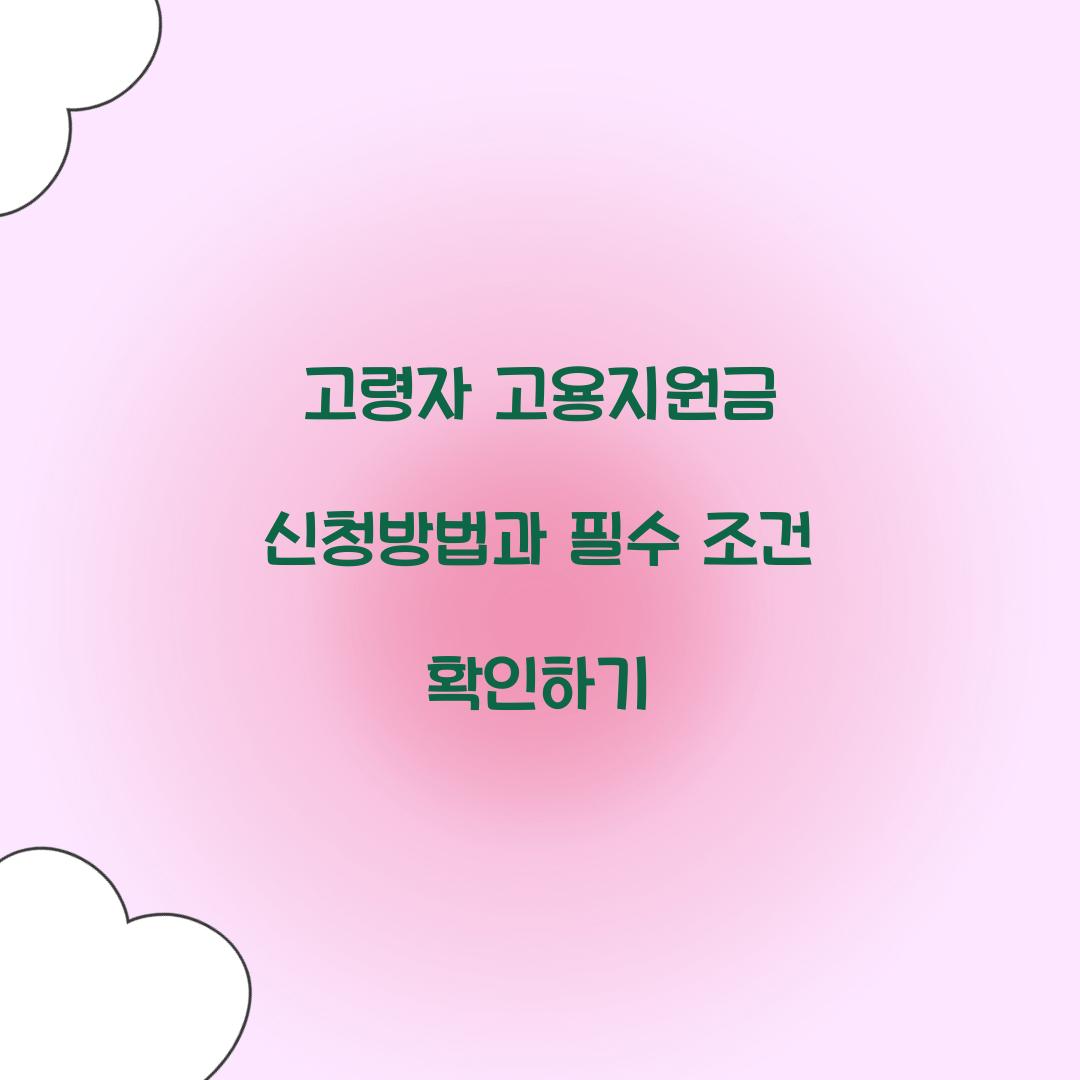 고령자 고용지원금