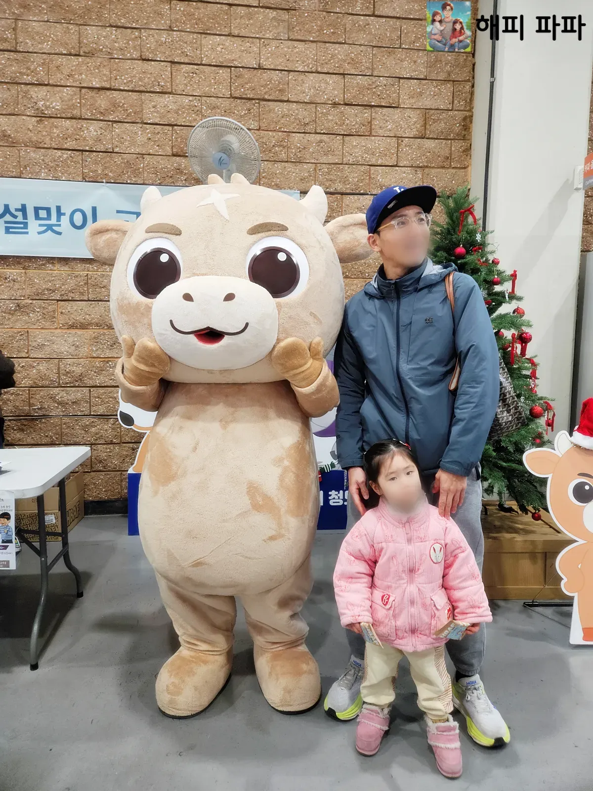 청도-소싸움경기장-설맞이-이벤트