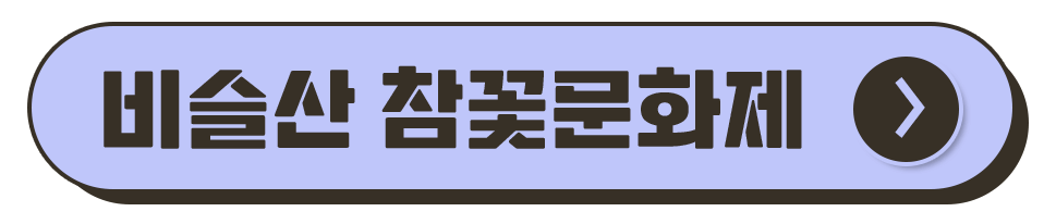 대구 축제 일정