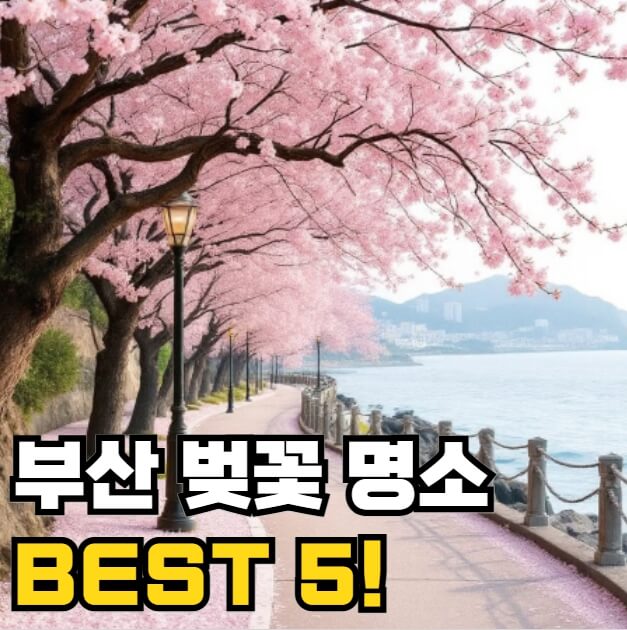 부산 벚꽃 명소