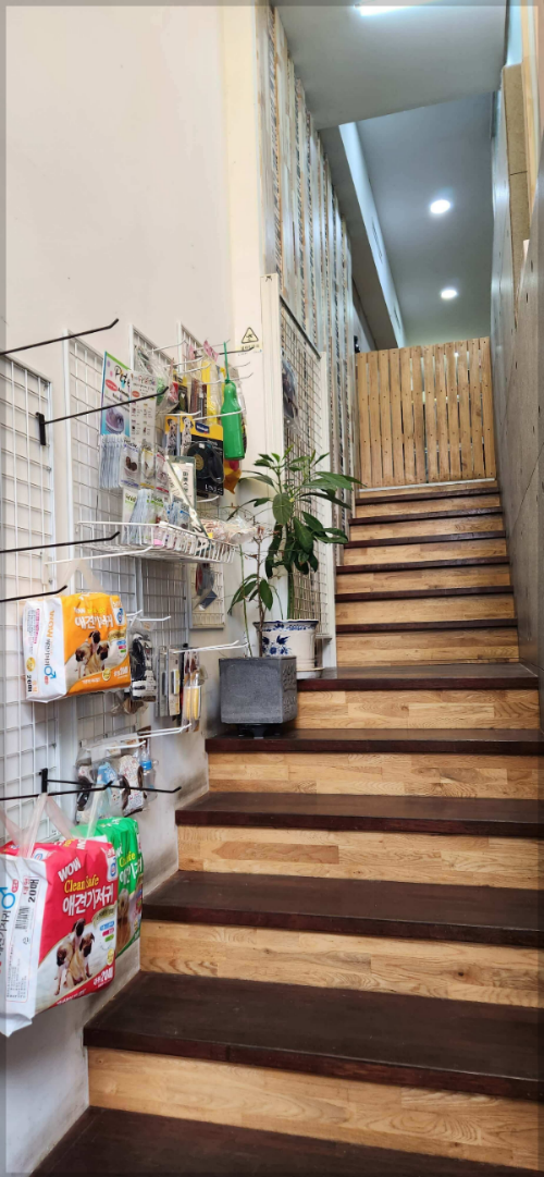 특수반려병원-파우동물병원-사진3