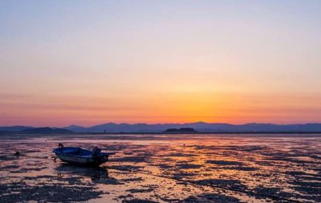 보령머드축제 티켓예매, 기본정보