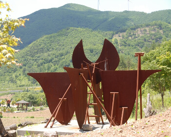 태백 해바라기 축제_11