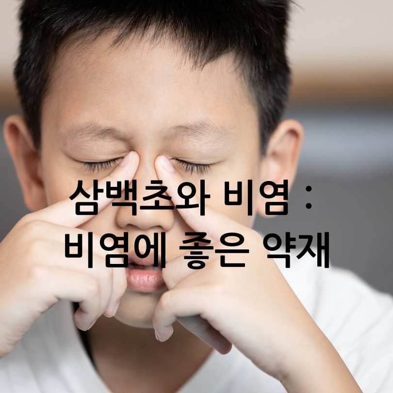 삼백초와 비염