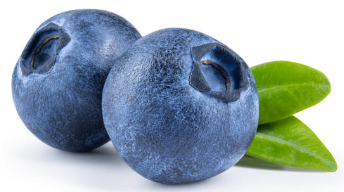 블루베리