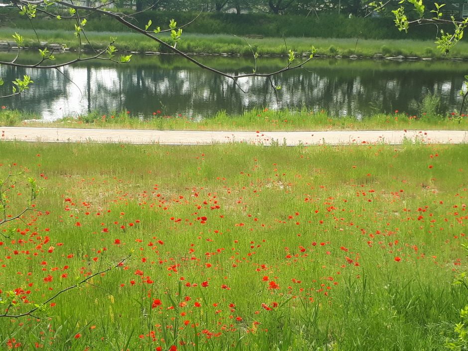 임실 가볼만한곳 베스트10