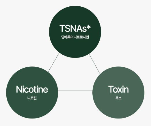 하루미츠-말차-브리즈-효능