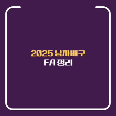 2025 여자배구 FA