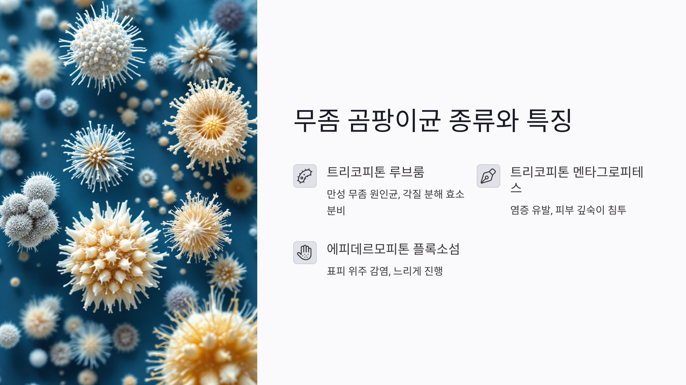 무좀 곰팡이균 종류와 특징