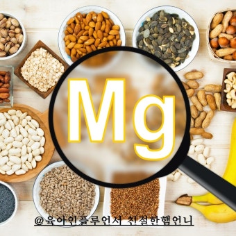 마그네슘