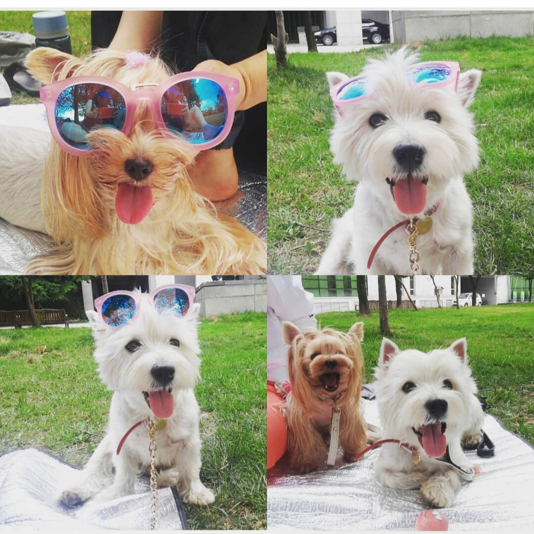 변경신고