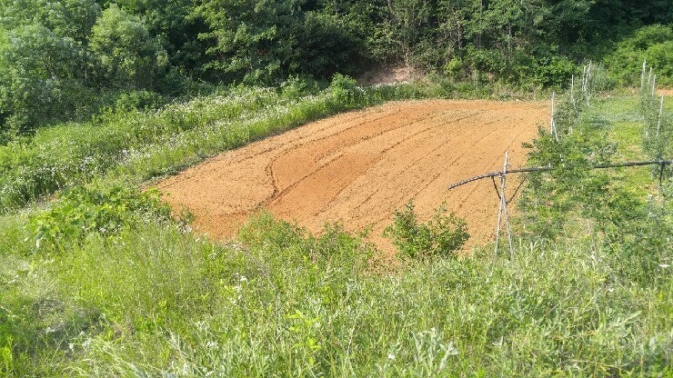 들깨 파종전 토양준비