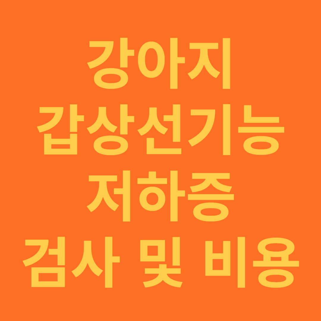 강아지 노령견 갑상선 기능저하증 증상과 검사 비용