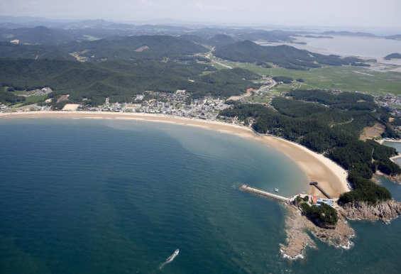 사진