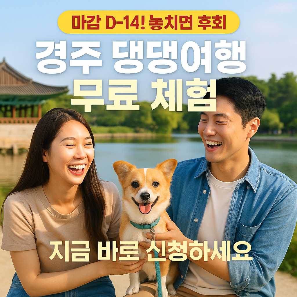 경주 댕댕여행 D-14! 무료 체험 완전 정복