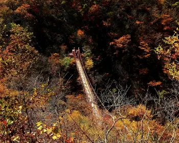대둔산 케이블카_20