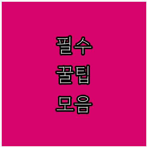 놓치면 후회 2025 진안군 보훈명예..