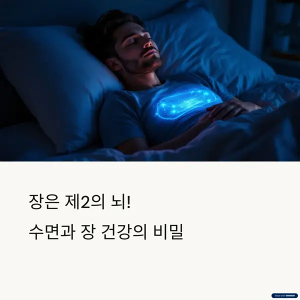 장은 제2의 뇌! 수면과 장 건강의 연결 고리를 시각화한 이미지