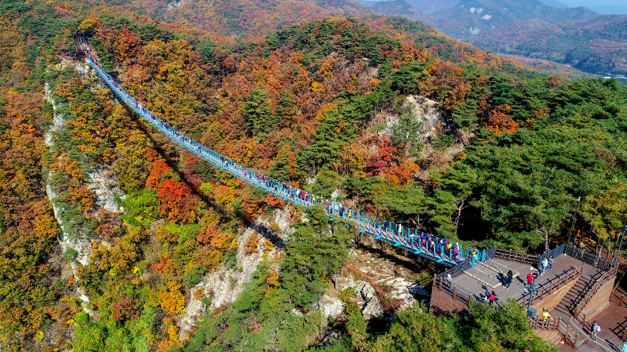 추운 겨울 정선 2박3일 여행 가볼만한 곳 05 - 정선아리랑시장, 회동집, 원주 소금산 출렁다리