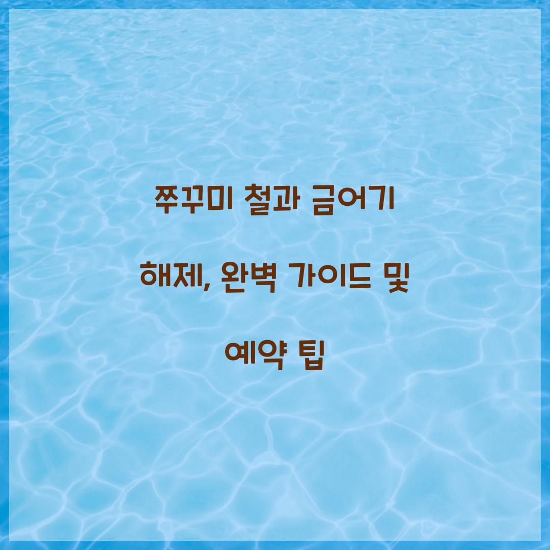 쭈꾸미 철 쭈꾸미 금어기