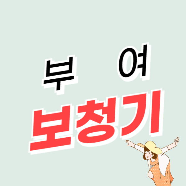 부여 보청기 가격 비교 싼 곳 잘하는 센터 추천 후기(지원금, 할인)