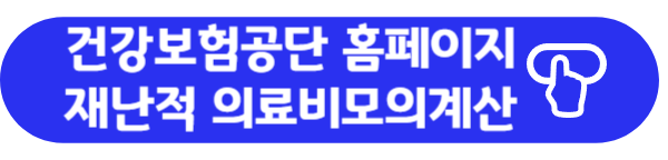 재난적 의료비 모의계산