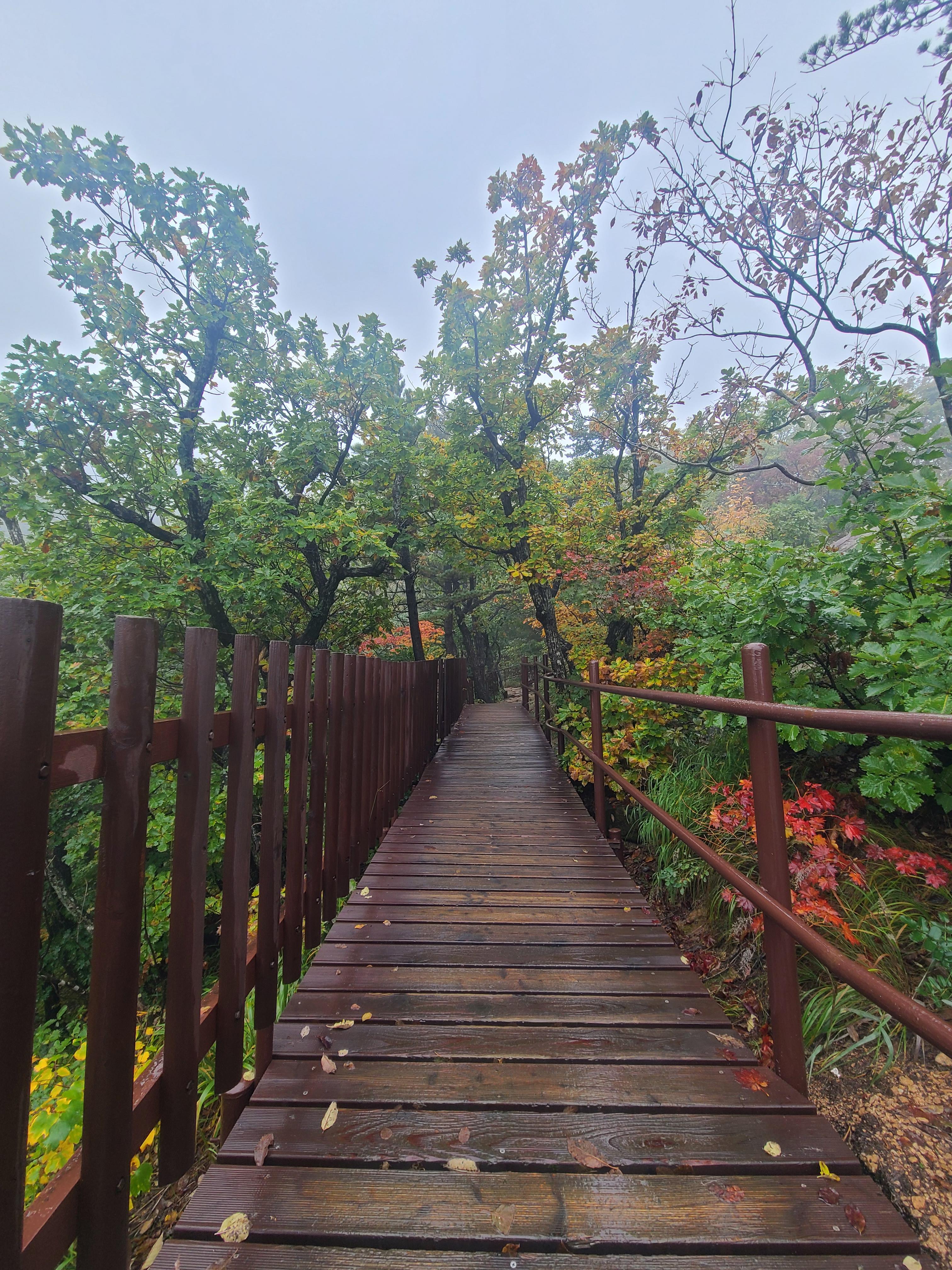 권금성