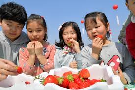 3월 국내 여행지 추천