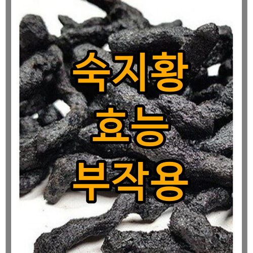 숙지황의 효능 부작용