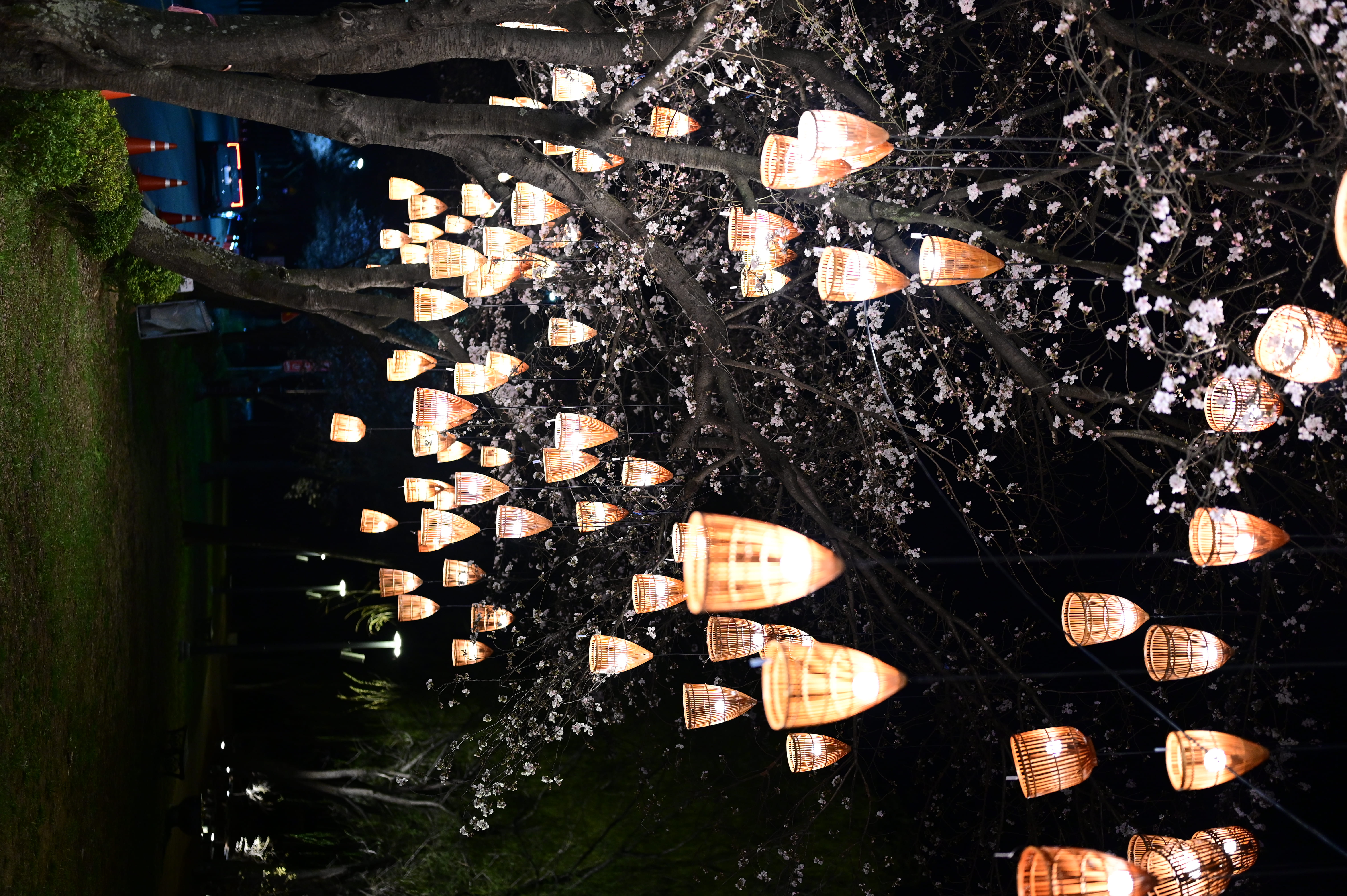 고령대가야축제 총정리 2026 일정 프로그램