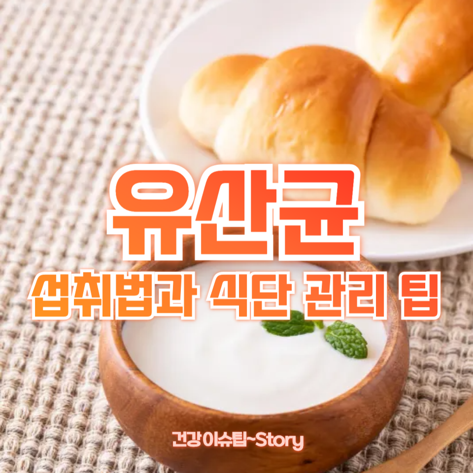 장 건강에 효과적인 유산균
