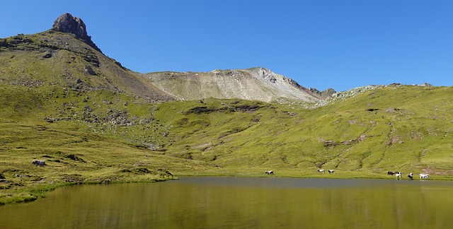공유 지분 상태의 토지 상속 지분 정리