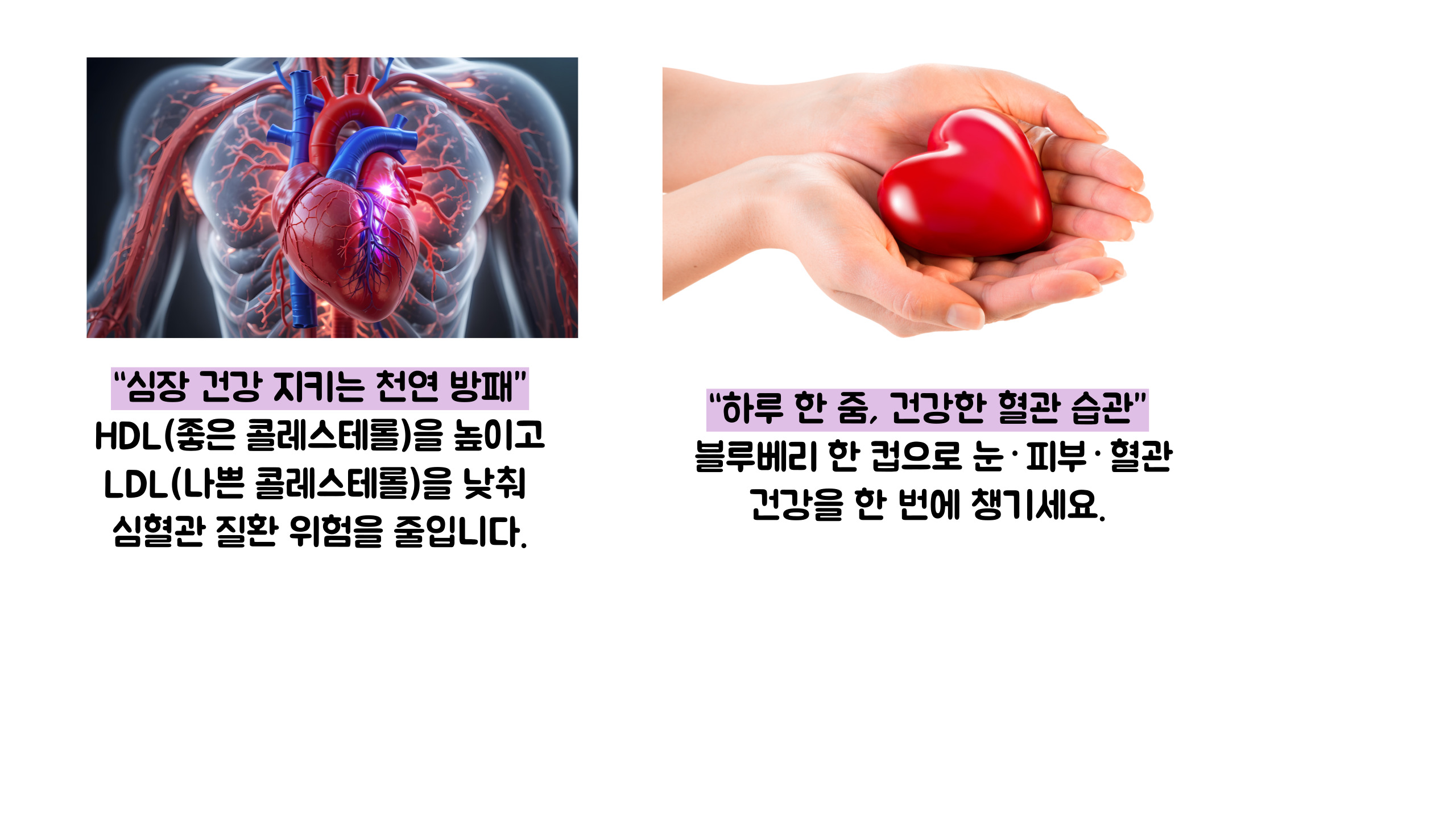 블루베리 효능