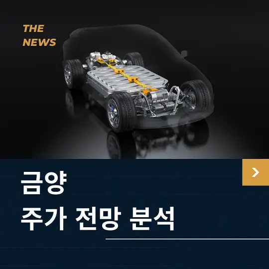 금양 주가 전망 및 분석